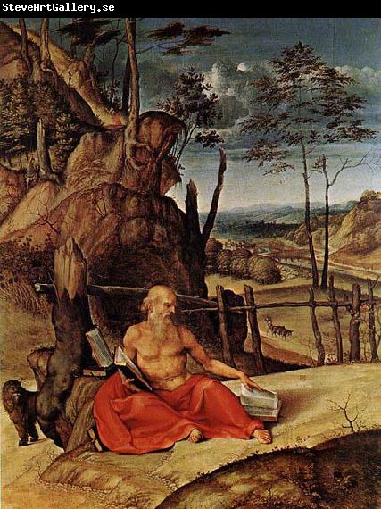 Lorenzo Lotto Penitent St Jerome